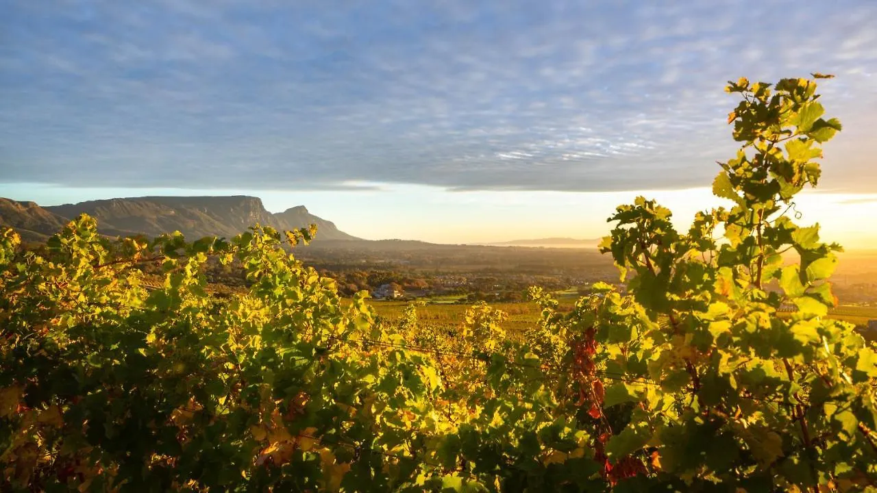 Steenberg Hotel & Spa Tokai